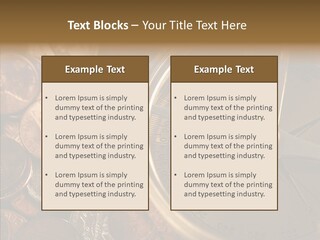 Female Elderly Two PowerPoint Template