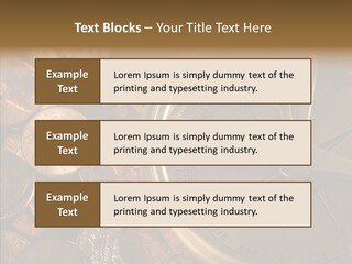 Female Elderly Two PowerPoint Template