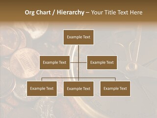 Female Elderly Two PowerPoint Template