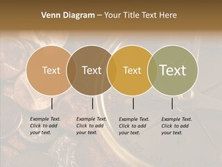 Female Elderly Two PowerPoint Template