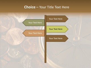 Female Elderly Two PowerPoint Template