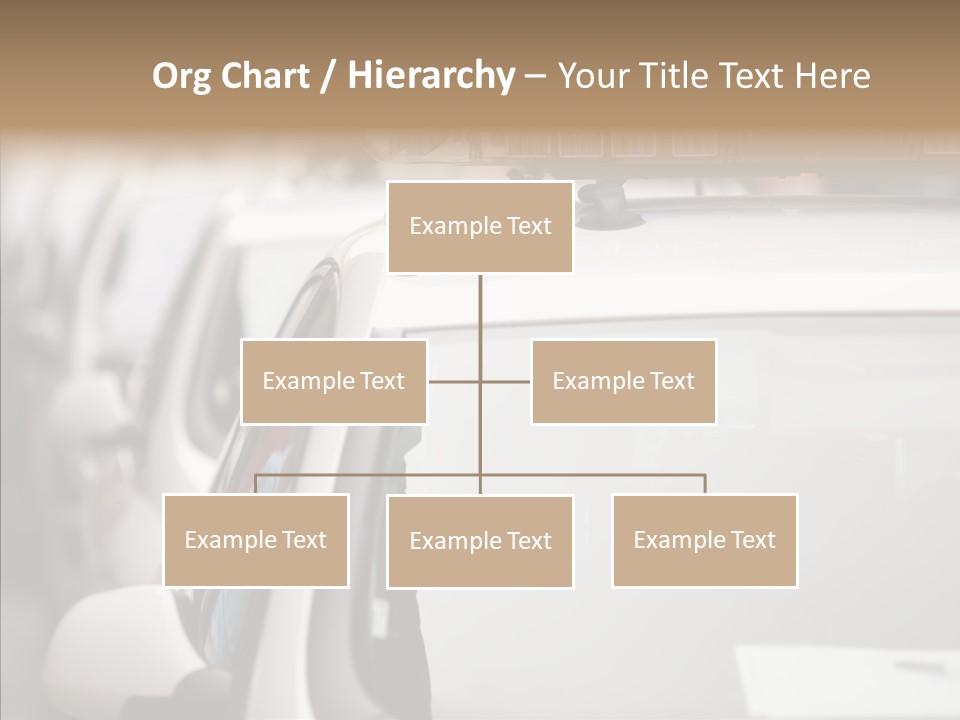 Helping Hand Touching Women PowerPoint Template