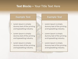 Adult Aging Grandmother PowerPoint Template