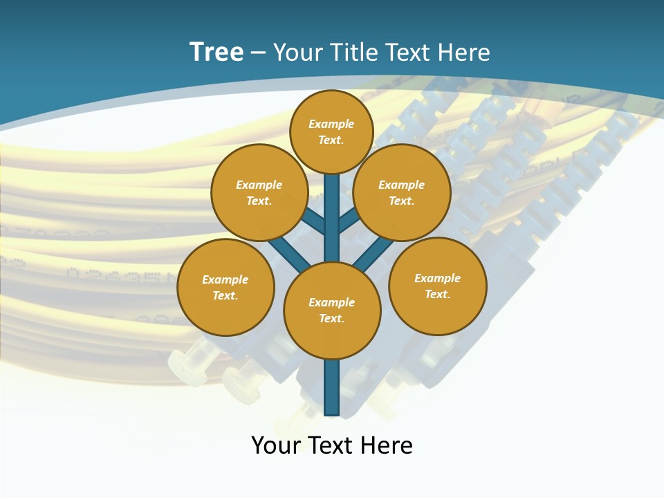 White Background Senior PowerPoint Template
