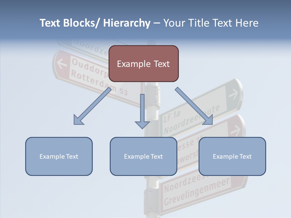 Senior  Female Help PowerPoint Template
