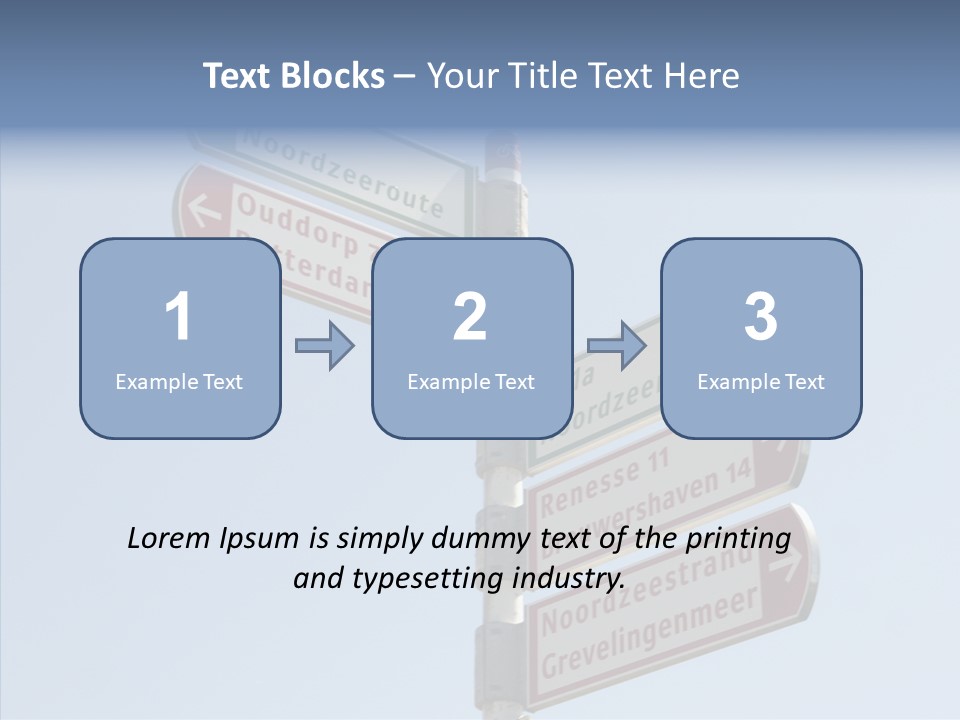 Senior  Female Help PowerPoint Template
