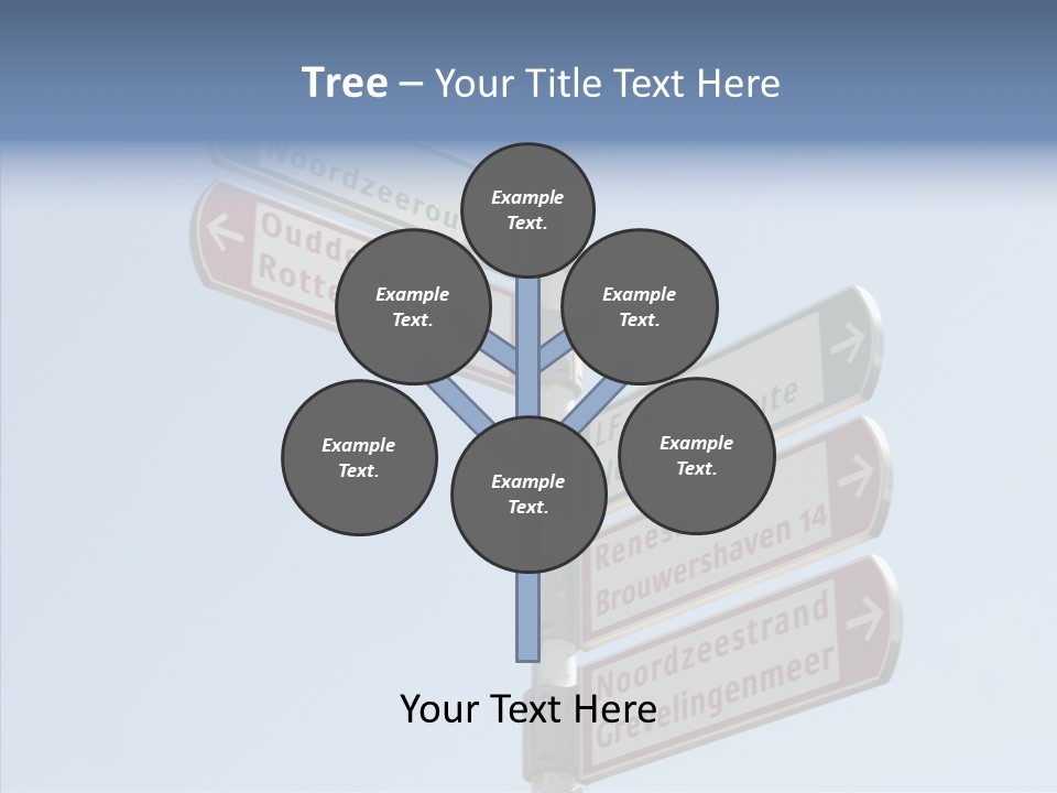 Senior  Female Help PowerPoint Template