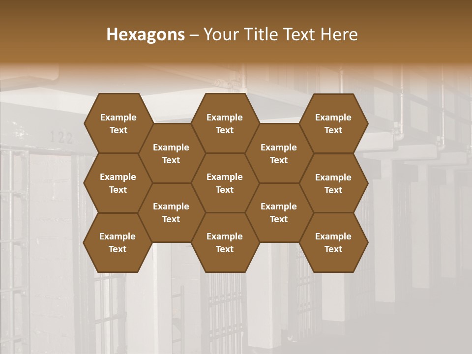 Senior  Aging Sharing PowerPoint Template