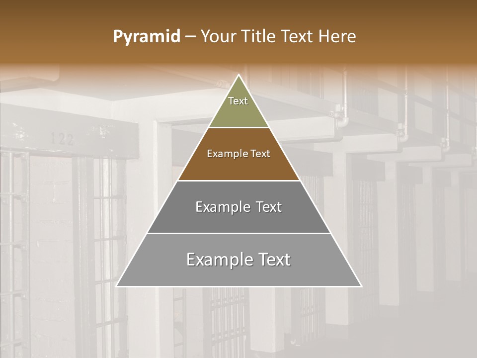 Senior  Aging Sharing PowerPoint Template