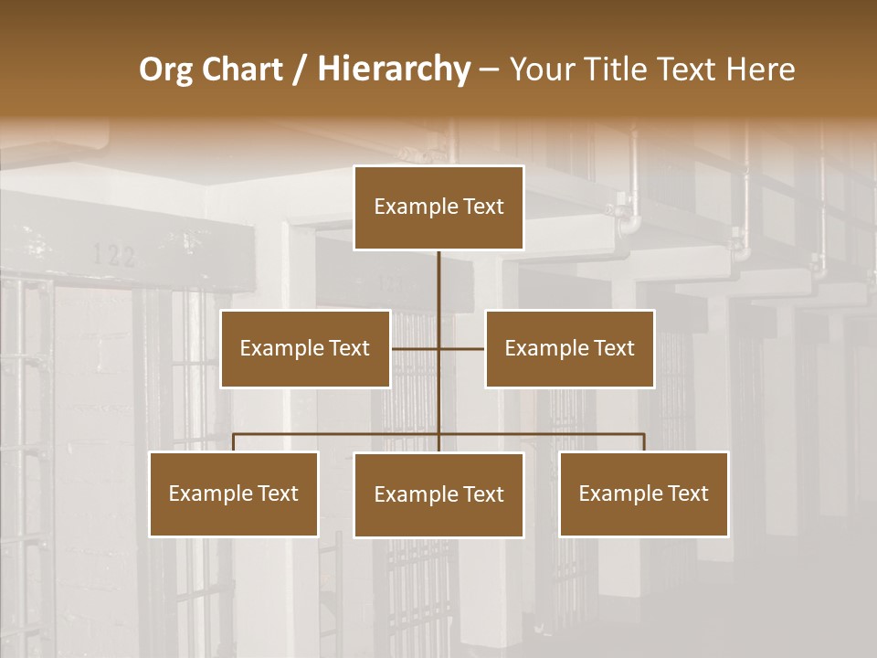 Senior  Aging Sharing PowerPoint Template