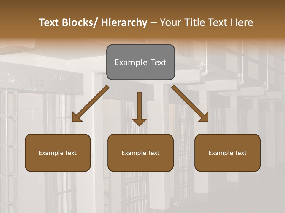 Senior  Aging Sharing PowerPoint Template