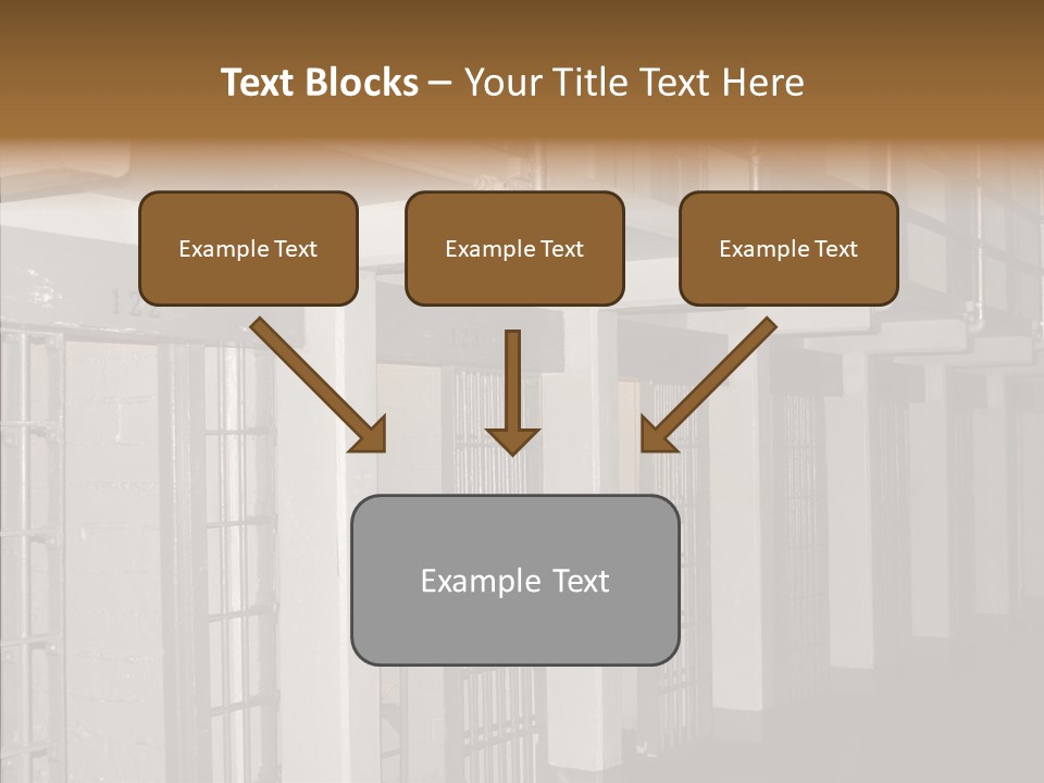 Senior  Aging Sharing PowerPoint Template