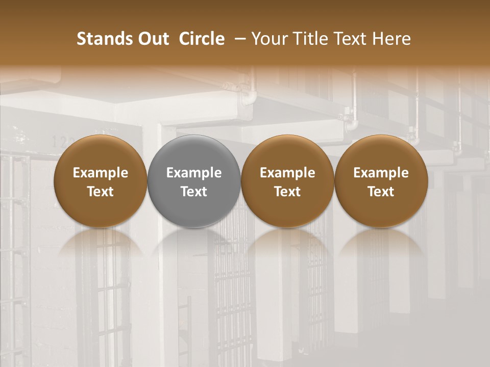 Senior  Aging Sharing PowerPoint Template