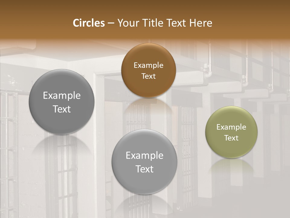 Senior  Aging Sharing PowerPoint Template