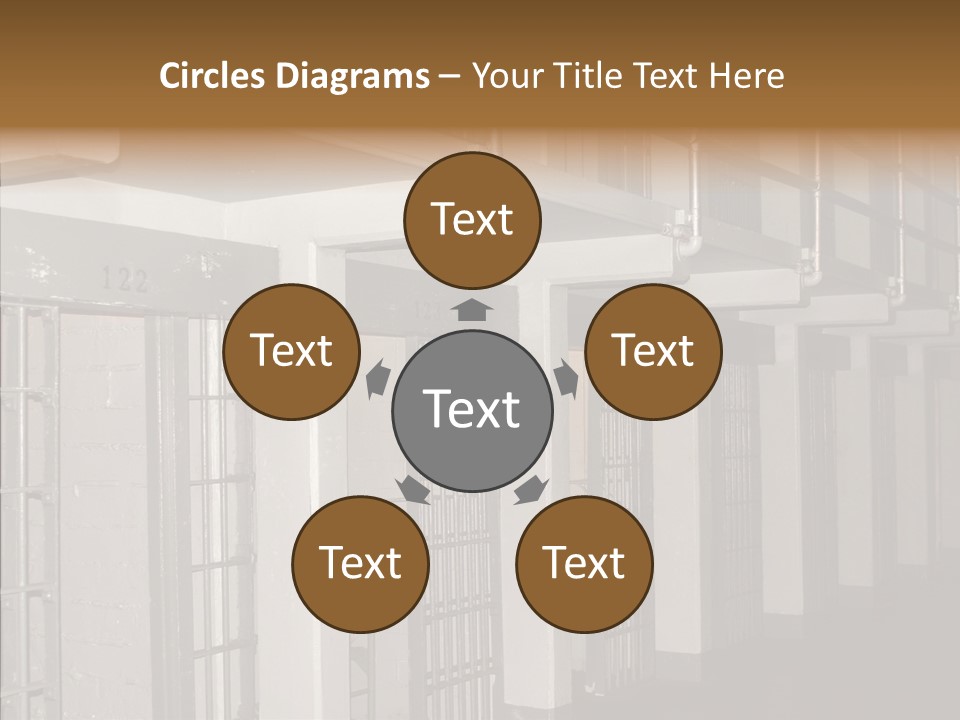 Senior  Aging Sharing PowerPoint Template