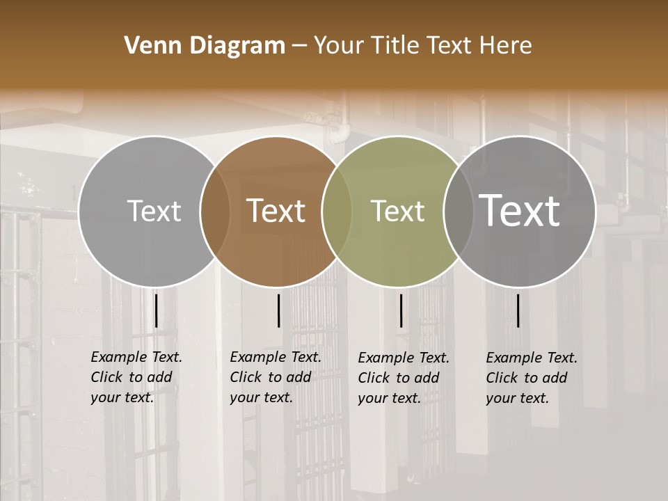 Senior  Aging Sharing PowerPoint Template