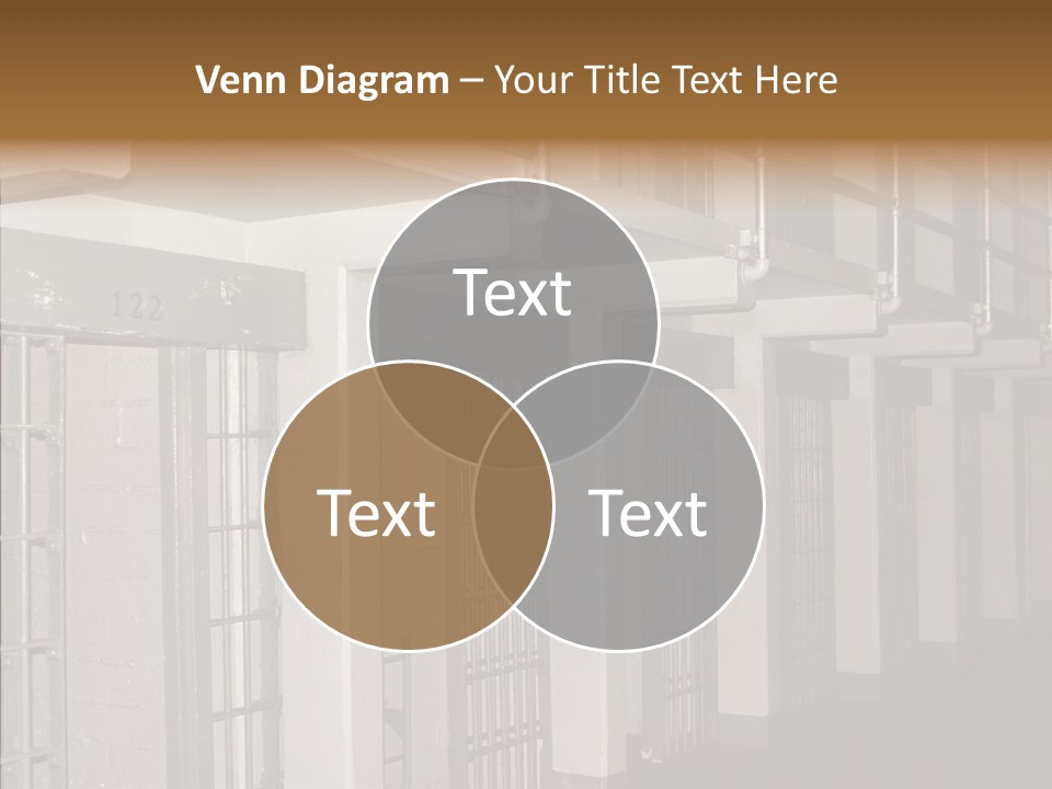 Senior  Aging Sharing PowerPoint Template