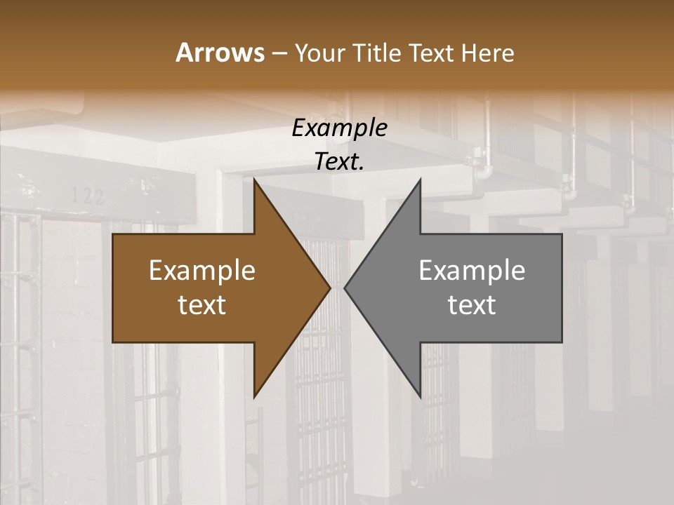 Senior  Aging Sharing PowerPoint Template