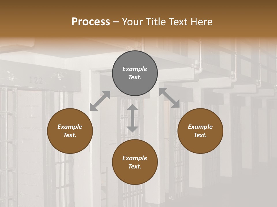 Senior  Aging Sharing PowerPoint Template