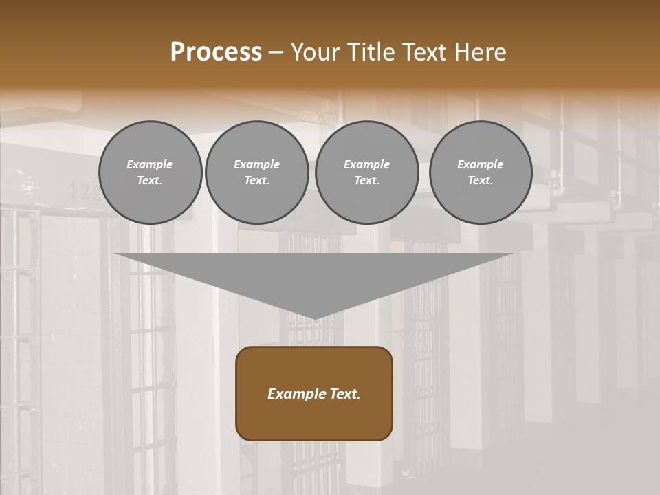 Senior  Aging Sharing PowerPoint Template
