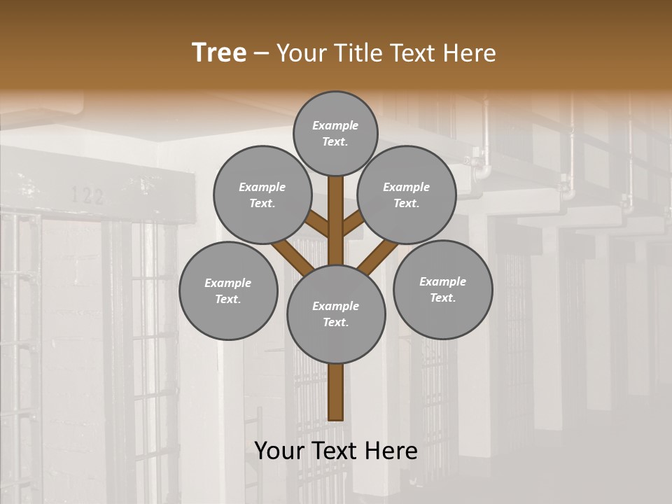 Senior  Aging Sharing PowerPoint Template