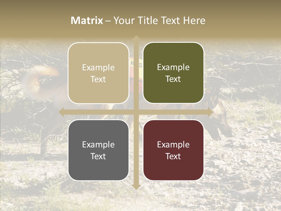 Senior  Elderly Touching PowerPoint Template