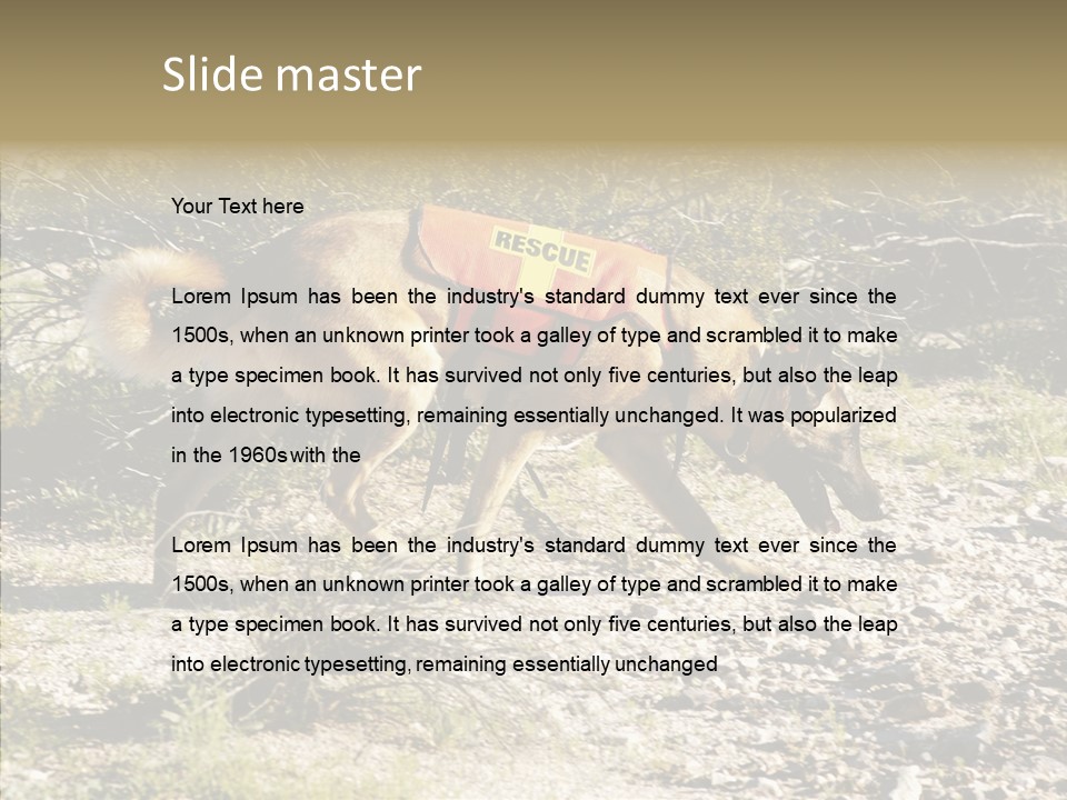 Senior  Elderly Touching PowerPoint Template