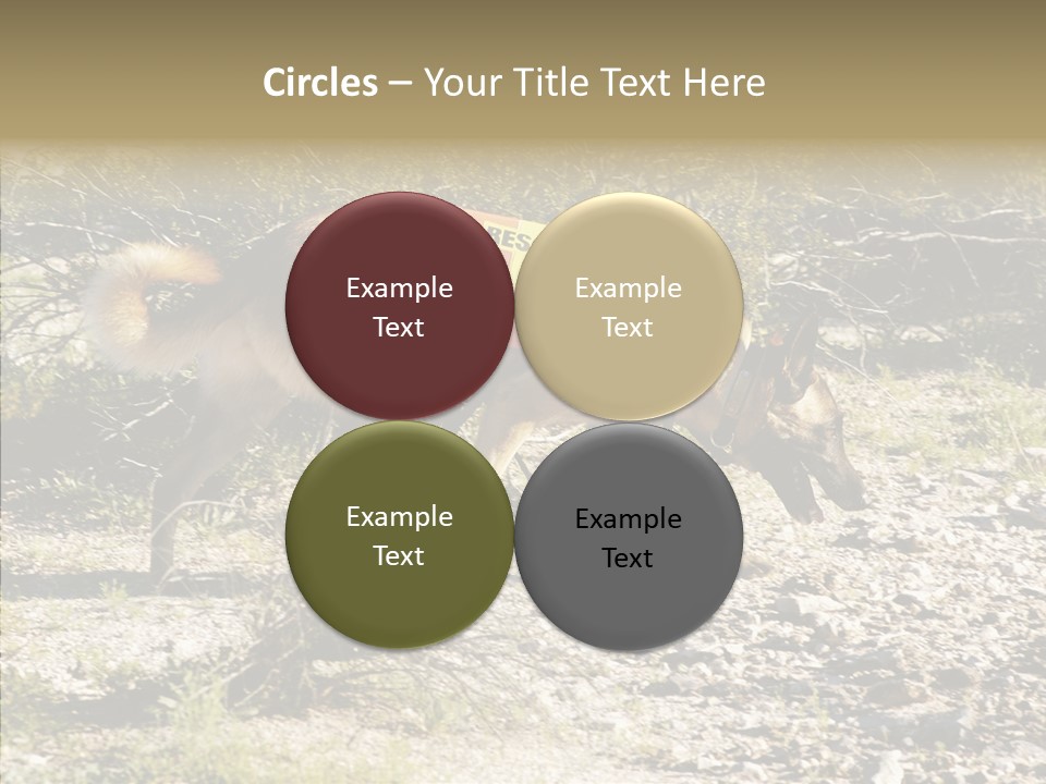 Senior  Elderly Touching PowerPoint Template