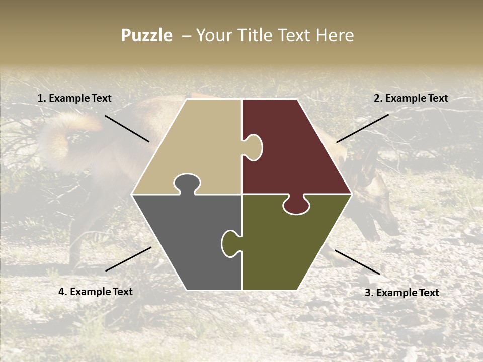 Senior  Elderly Touching PowerPoint Template