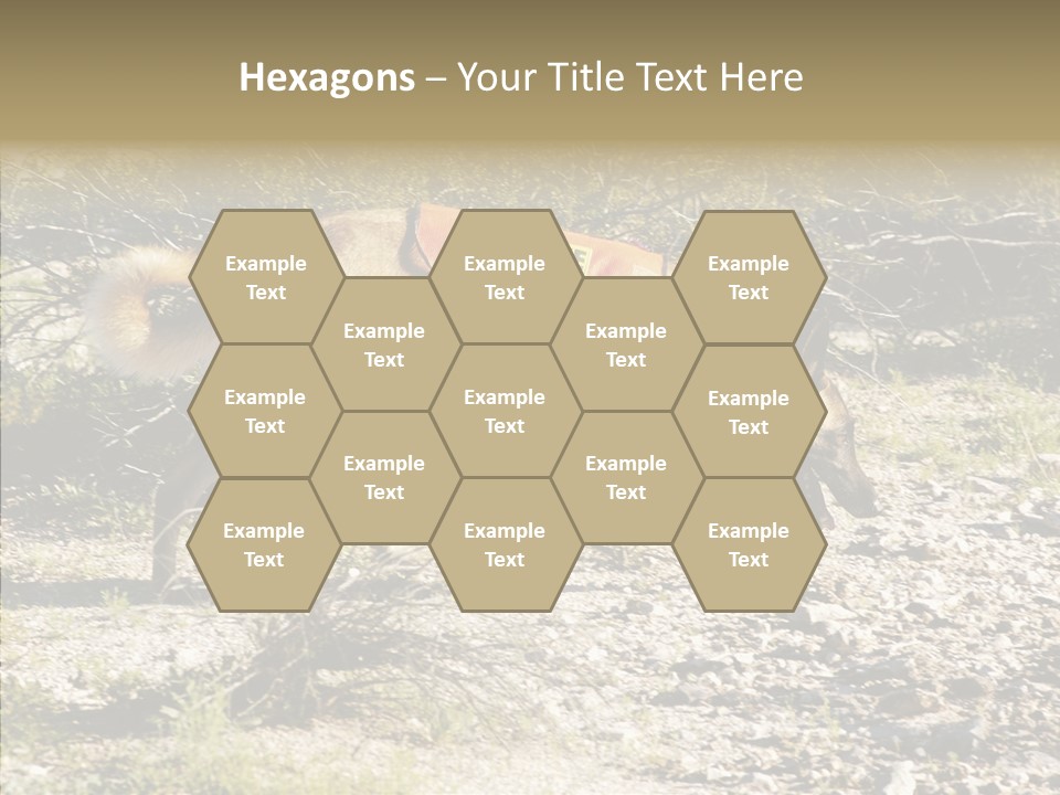 Senior  Elderly Touching PowerPoint Template