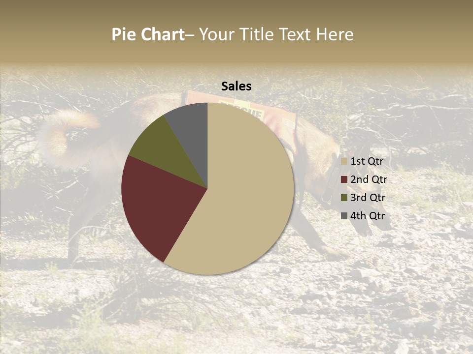 Senior  Elderly Touching PowerPoint Template