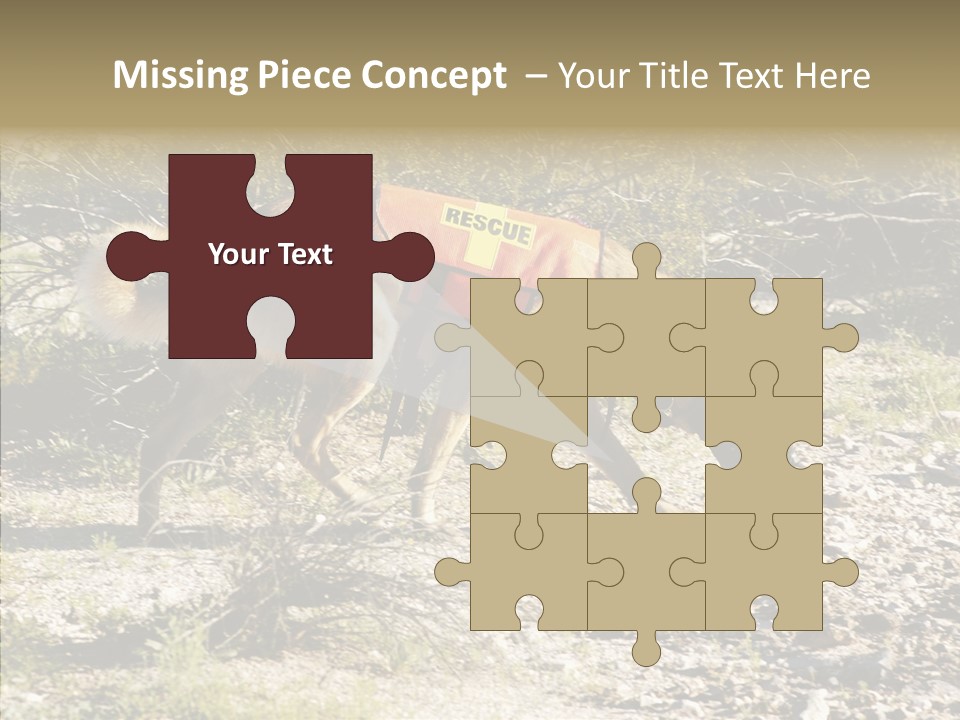 Senior  Elderly Touching PowerPoint Template