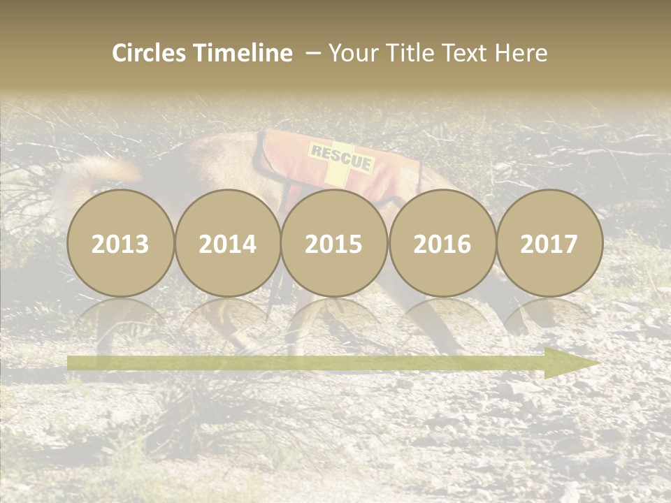 Senior  Elderly Touching PowerPoint Template