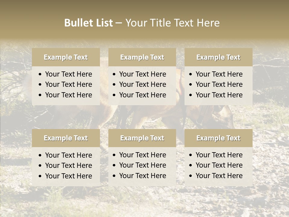 Senior  Elderly Touching PowerPoint Template