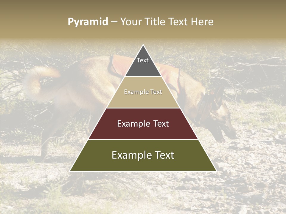 Senior  Elderly Touching PowerPoint Template