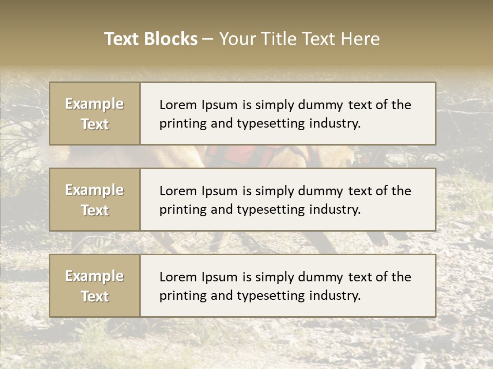 Senior  Elderly Touching PowerPoint Template