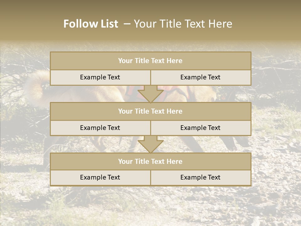 Senior  Elderly Touching PowerPoint Template