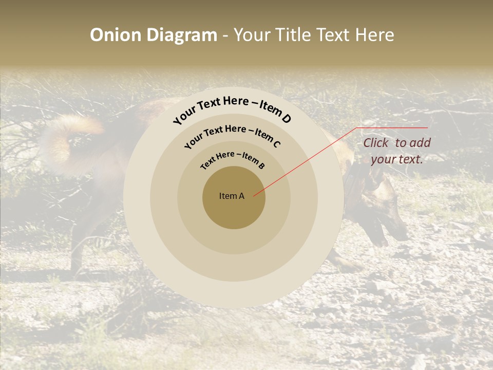 Senior  Elderly Touching PowerPoint Template