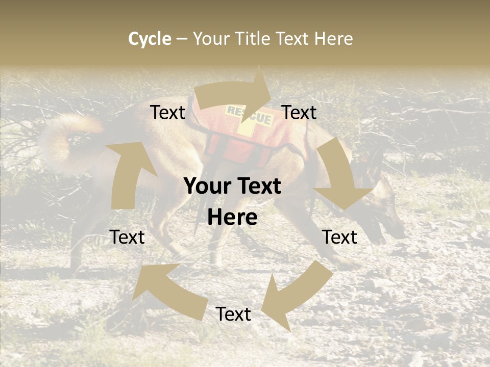 Senior  Elderly Touching PowerPoint Template