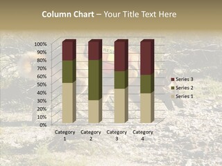 Senior  Elderly Touching PowerPoint Template