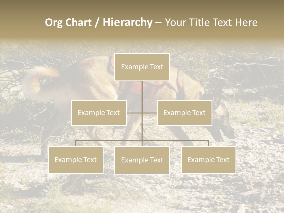Senior  Elderly Touching PowerPoint Template