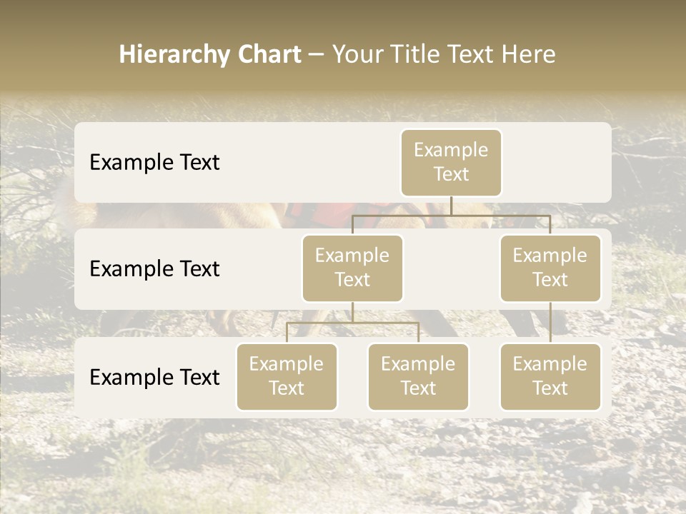 Senior  Elderly Touching PowerPoint Template