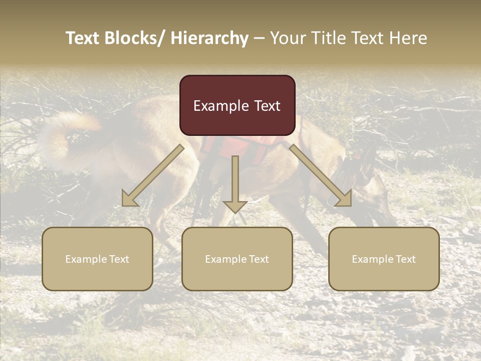 Senior  Elderly Touching PowerPoint Template