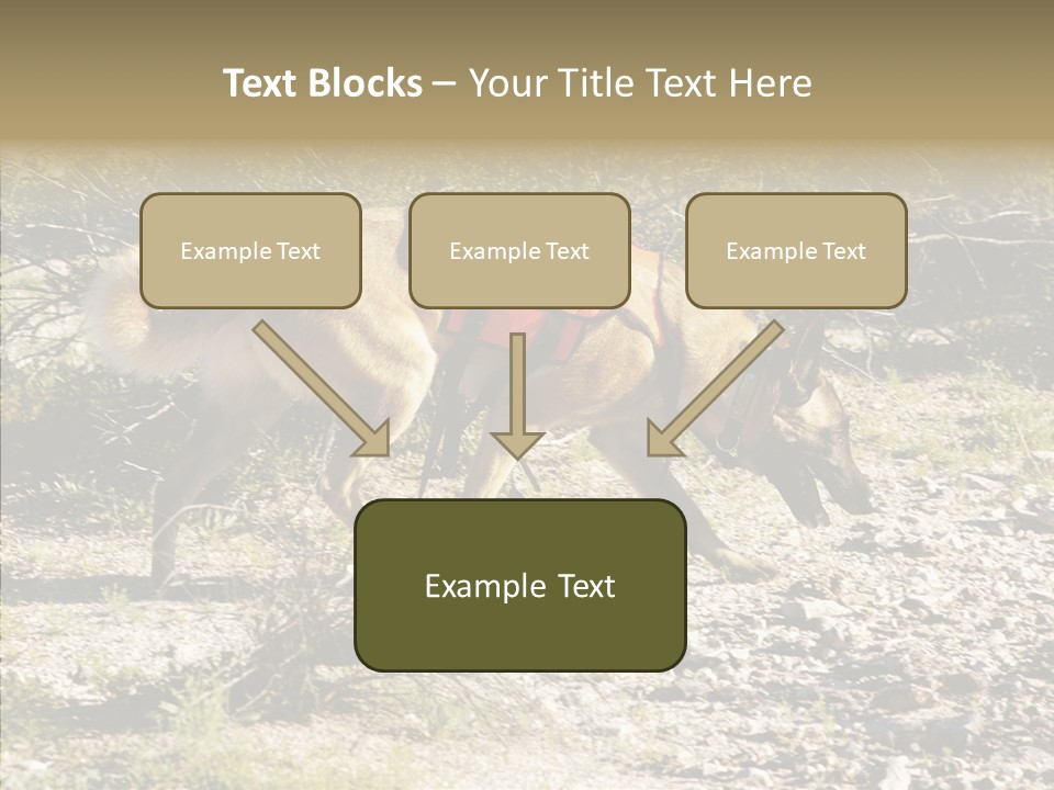 Senior  Elderly Touching PowerPoint Template