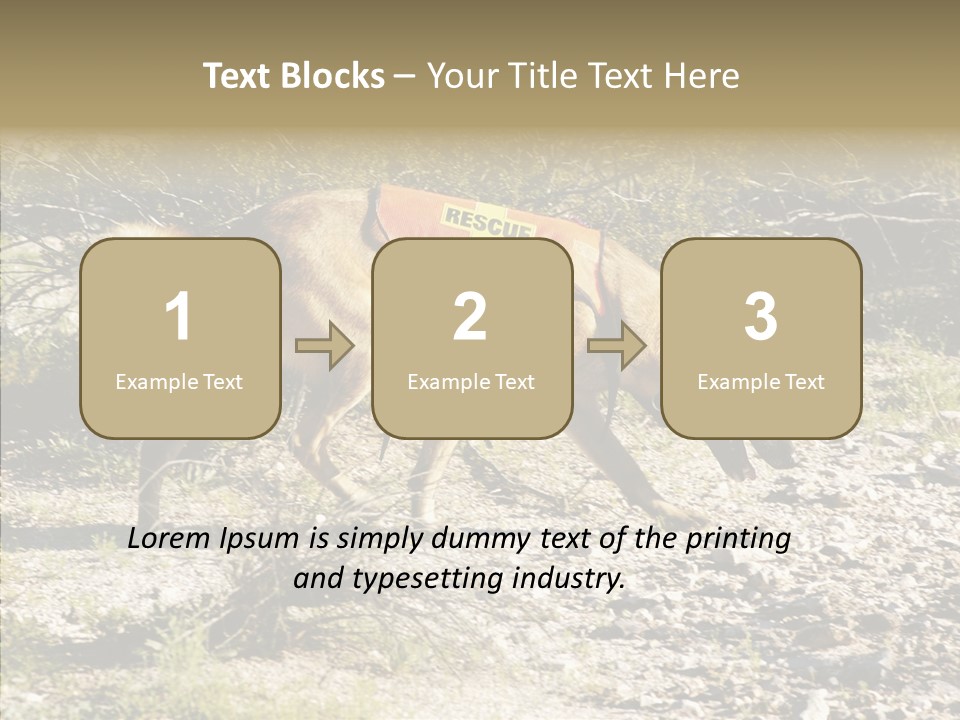 Senior  Elderly Touching PowerPoint Template