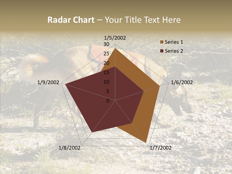 Senior  Elderly Touching PowerPoint Template