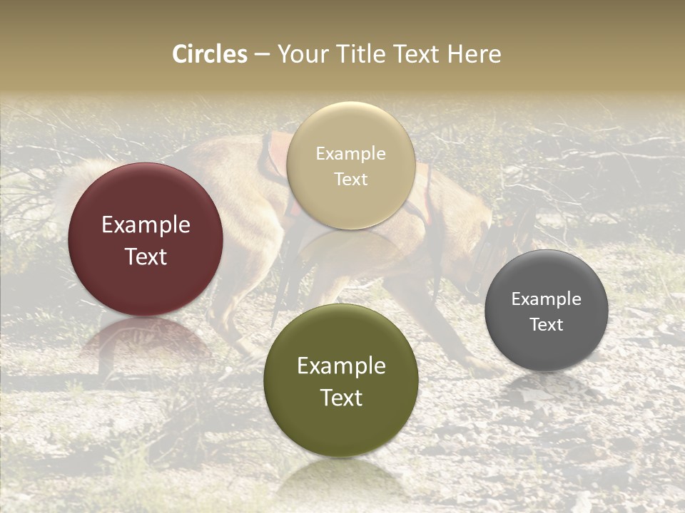 Senior  Elderly Touching PowerPoint Template