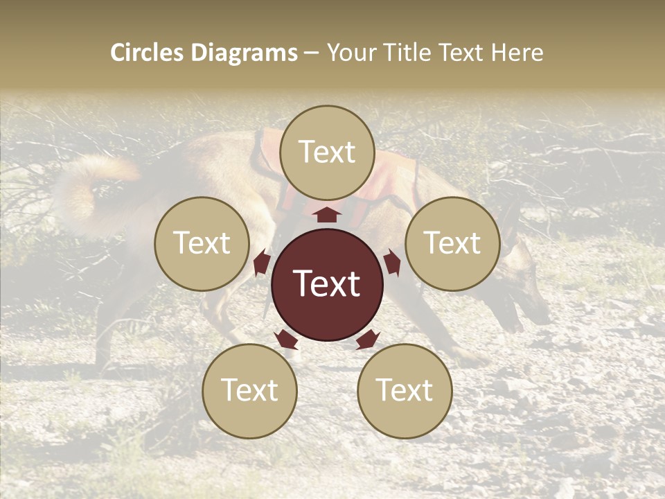 Senior  Elderly Touching PowerPoint Template