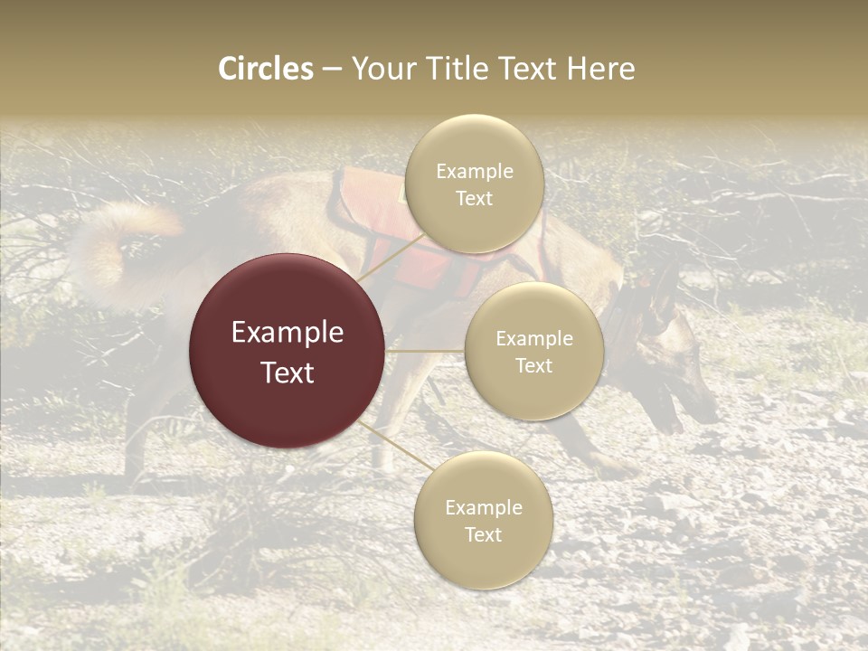 Senior  Elderly Touching PowerPoint Template