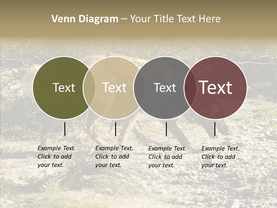 Senior  Elderly Touching PowerPoint Template